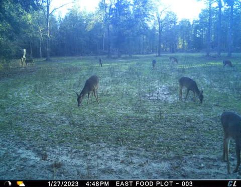 Tiny photo for 7901 Ashleigh Road, Blackville, SC 29817 (MLS # 220029)