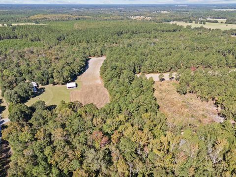 Tiny photo for 7901 Ashleigh Road, Blackville, SC 29817 (MLS # 220029)