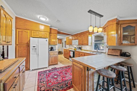 Tiny photo for 7901 Ashleigh Road, Blackville, SC 29817 (MLS # 220029)