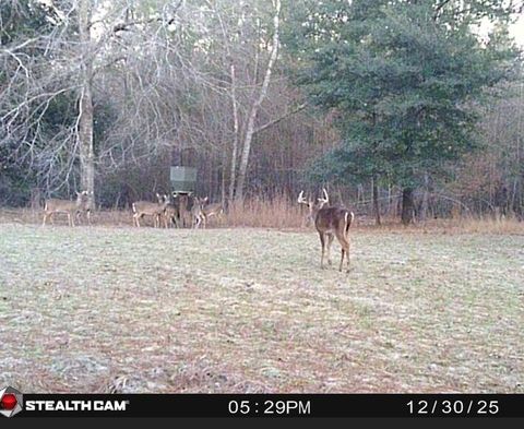 Tiny photo for 7901 Ashleigh Road, Blackville, SC 29817 (MLS # 220029)