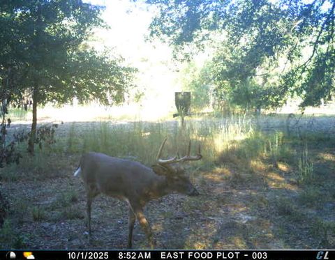 Tiny photo for 7901 Ashleigh Road, Blackville, SC 29817 (MLS # 220029)