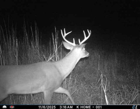 Tiny photo for 7901 Ashleigh Road, Blackville, SC 29817 (MLS # 220029)