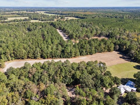 Tiny photo for 7901 Ashleigh Road, Blackville, SC 29817 (MLS # 220029)