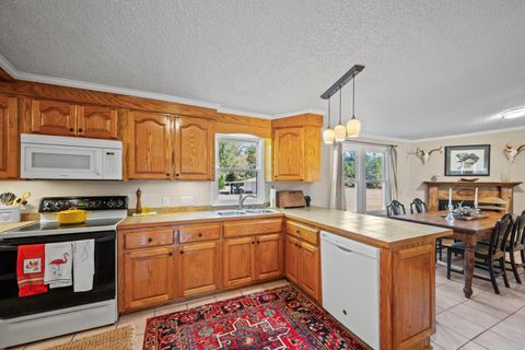Tiny photo for 7901 Ashleigh Road, Blackville, SC 29817 (MLS # 220029)