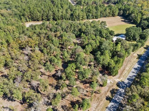 Tiny photo for 7901 Ashleigh Road, Blackville, SC 29817 (MLS # 220029)