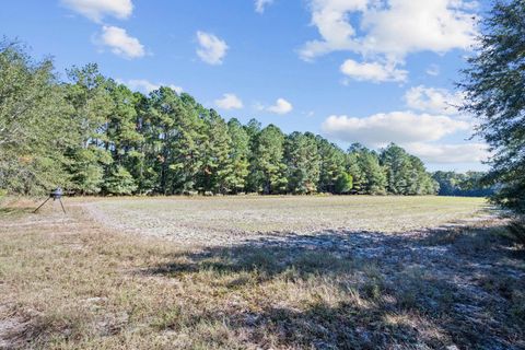 Tiny photo for 7901 Ashleigh Road, Blackville, SC 29817 (MLS # 220029)