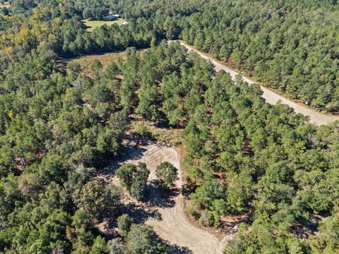 Tiny photo for 7901 Ashleigh Road, Blackville, SC 29817 (MLS # 220029)