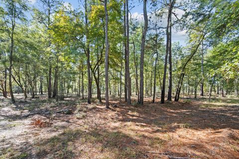 Tiny photo for 7901 Ashleigh Road, Blackville, SC 29817 (MLS # 220029)