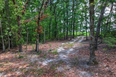 Tiny photo for 209 Fairwind Road, Windsor, SC 29856 (MLS # 218559)