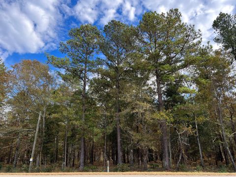 Unimproved Land in Wagener SC 0-W3 Wagener Rd.jpg