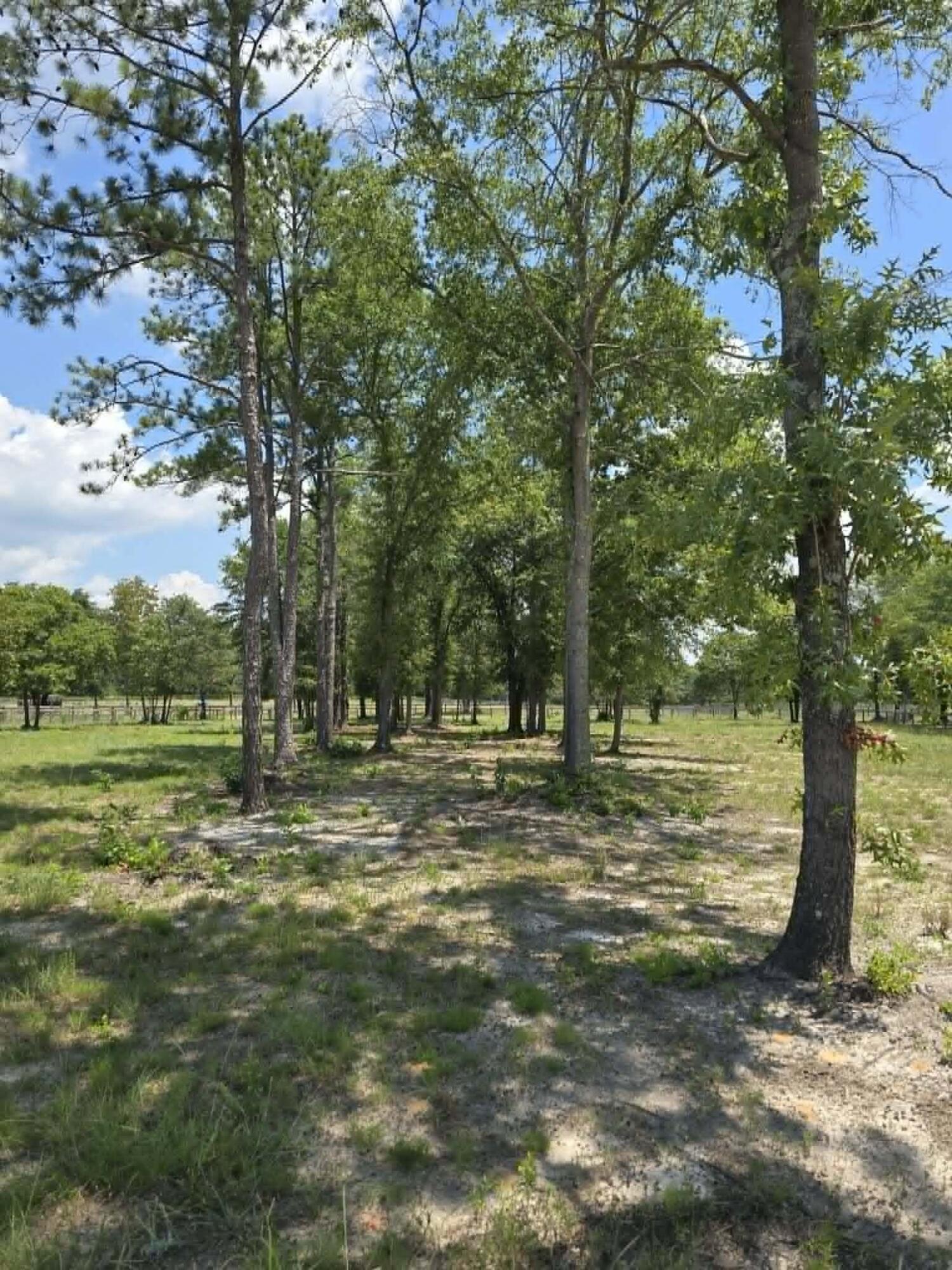 0 Dressage Court