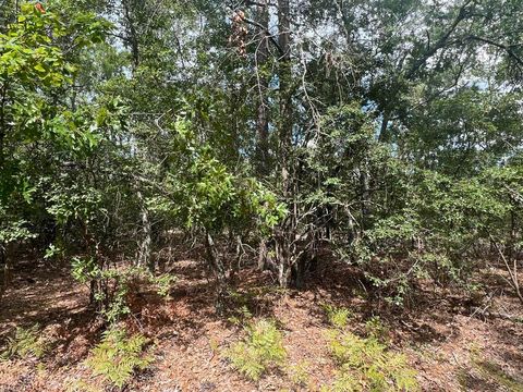 Photo of Lots 103-5 Harlem Street, Beech Island, SC 29842 (MLS # 222238)