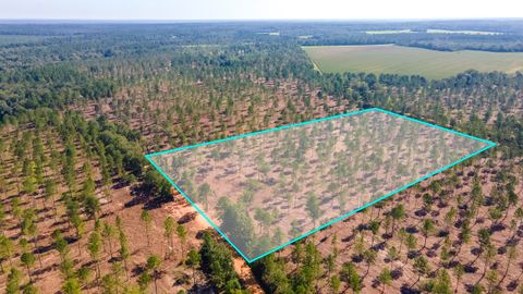 Unimproved Land in Wagener SC (Lot 6) Bluffwood Road.jpg