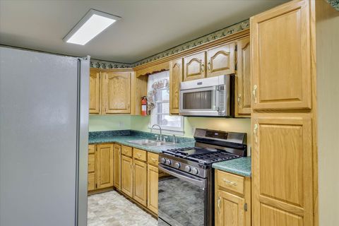 Tiny photo for 4 Appaloosa Way, Warrenville, SC 29851 (MLS # 220574)