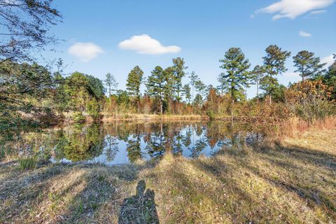 Tiny photo for 166 Cooper Pond Road, Salley, SC 29137 (MLS # 220588)