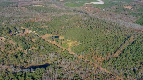 Tiny photo for 166 Cooper Pond Road, Salley, SC 29137 (MLS # 220588)