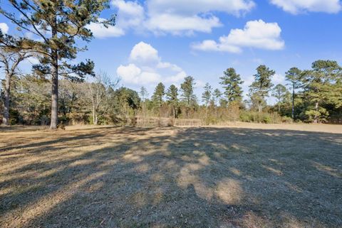Tiny photo for 166 Cooper Pond Road, Salley, SC 29137 (MLS # 220588)