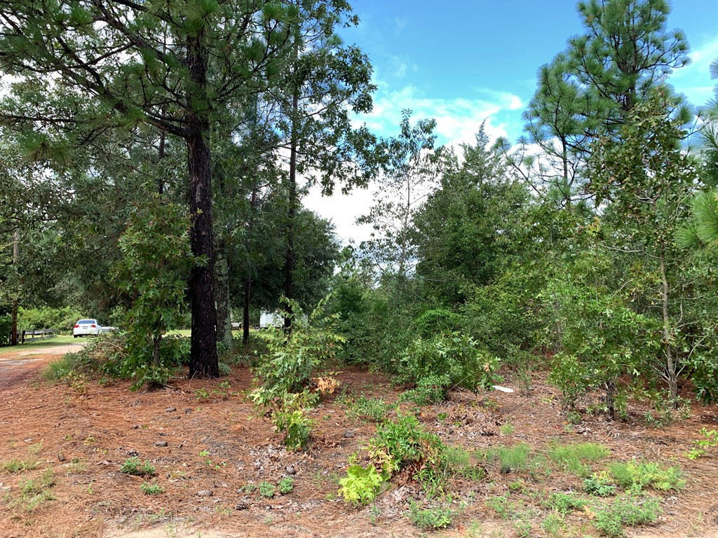 691 Bettis Academy Road