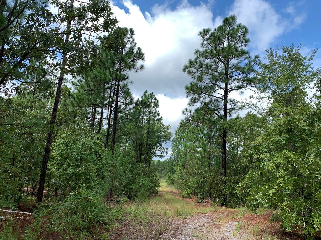 691 Bettis Academy Road