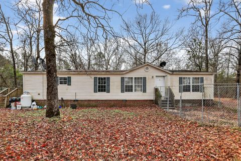 Photo of 385 Gunter Pond Road, Wagener, SC 29164 (MLS # 220847)
