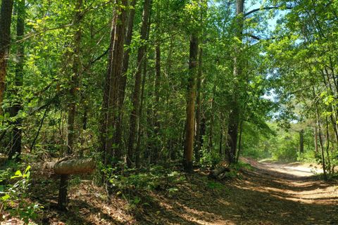 Photo of 0 Mccain Road, North Augusta, SC 29860 (MLS # 223527)