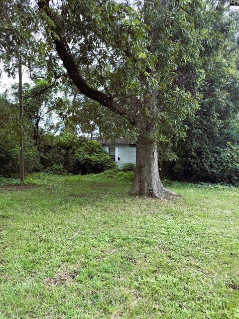 Tiny photo for 323 Railroad Avenue, Branchville, SC 29432 (MLS # 221950)