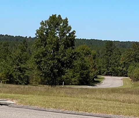 Lot 60 High Country Court, Windsor, SC 29856 - #: 117036