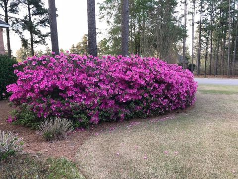 Tiny photo for 134 Foxhound Run Road, Aiken, SC 29803 (MLS # 215613)