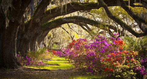 Tiny photo for 6136 Dead Riv Run, Beech Island, SC 29842 (MLS # 219387)