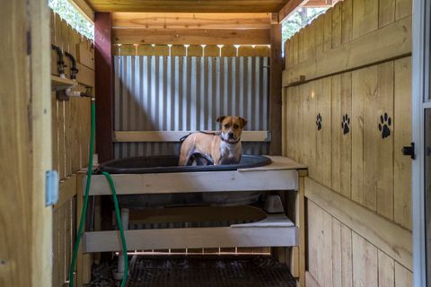 Tiny photo for 149 Pine Hollow Drive, Aiken, SC 29803 (MLS # 221239)