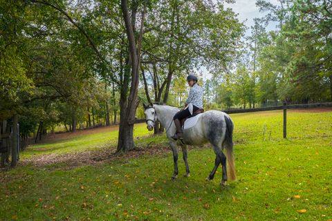 Tiny photo for 149 Pine Hollow Drive, Aiken, SC 29803 (MLS # 221239)