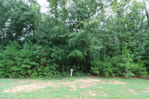 Property photo of Lot P-37 Eutaw Springs Trail, North Augusta, SC 29860