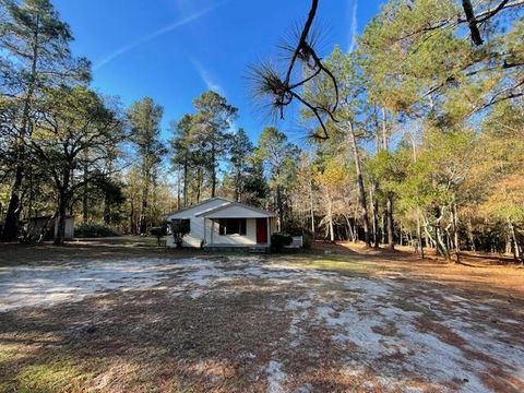 1058 Wright Mills Road, Couchton, SC 29801 - #: 209374