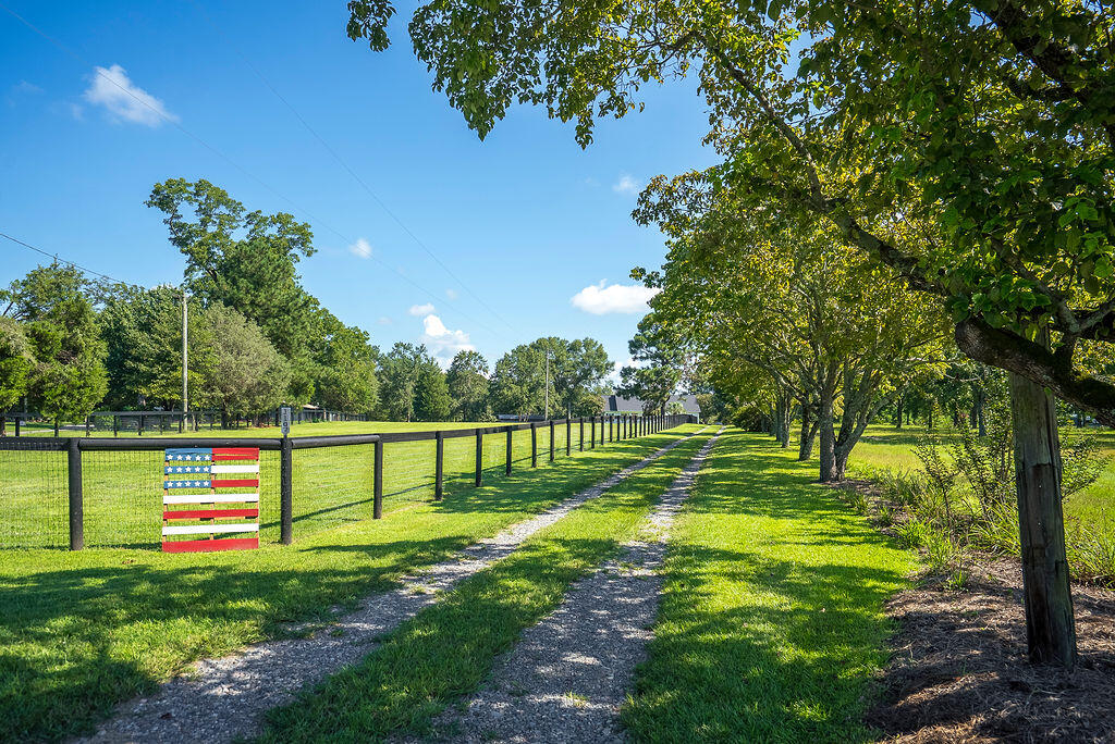1107 Gray Mare Hollow Road