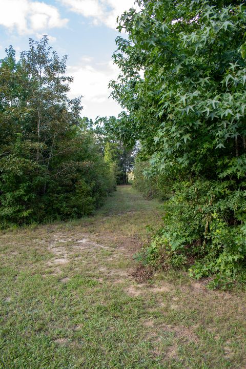 Tiny photo for 3574 State Rd S-6-81, Williston, SC 29853 (MLS # 219240)