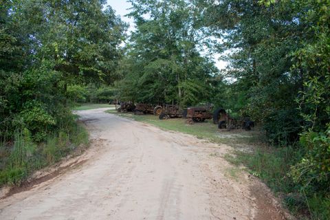 Tiny photo for 3574 State Rd S-6-81, Williston, SC 29853 (MLS # 219240)