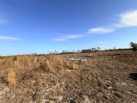 Photo of 0 Festival Trail Road, Salley, SC 29137 (MLS # 222086)