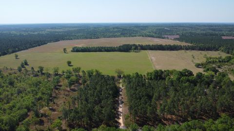 Photo of Tbd Browns Pond Road, Wagener, SC 29164 (MLS # 216940)