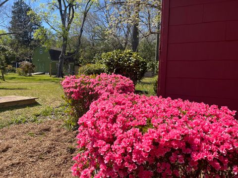 Tiny photo for 4531 Rosemary Street, Williston, SC 29853 (MLS # 216604)