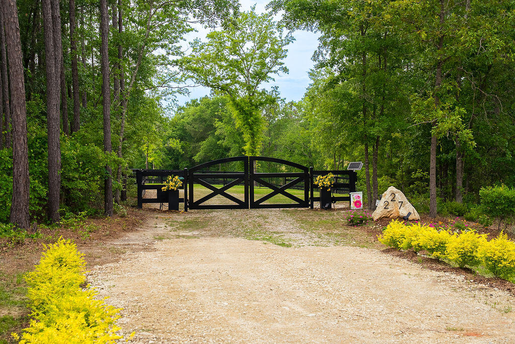 227 Bridle Creek Trail