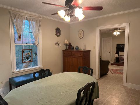 Tiny photo for 182 Mill Street SW, Wagener, SC 29164 (MLS # 219757)