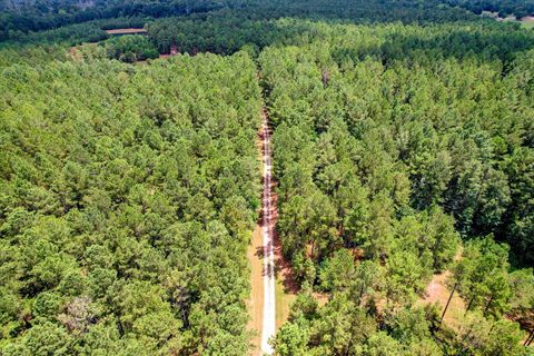 Tiny photo for 395 New Cut Road, Edgefield, SC 29824 (MLS # 218549)