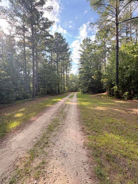 Tiny photo for 395 New Cut Road, Edgefield, SC 29824 (MLS # 218549)