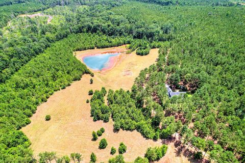 Tiny photo for 395 New Cut Road, Edgefield, SC 29824 (MLS # 218549)
