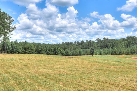 Tiny photo for 395 New Cut Road, Edgefield, SC 29824 (MLS # 218549)