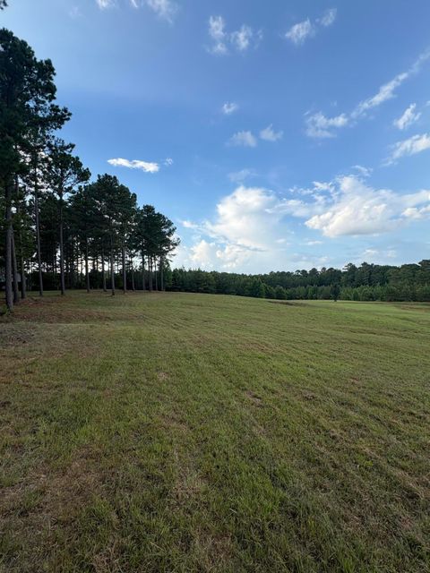 Tiny photo for 395 New Cut Road, Edgefield, SC 29824 (MLS # 218549)