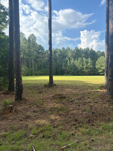 Tiny photo for 395 New Cut Road, Edgefield, SC 29824 (MLS # 218549)