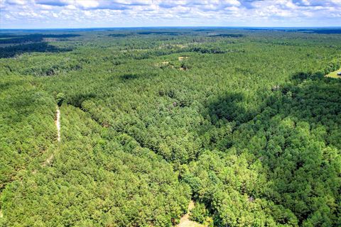 Tiny photo for 395 New Cut Road, Edgefield, SC 29824 (MLS # 218549)