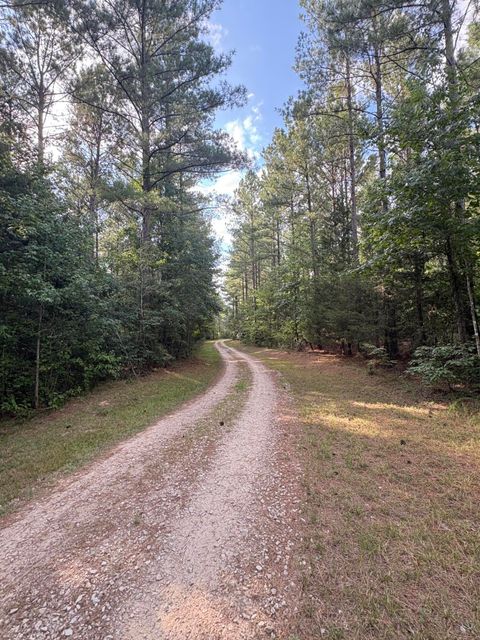 Tiny photo for 395 New Cut Road, Edgefield, SC 29824 (MLS # 218549)