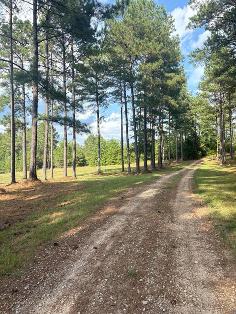 Tiny photo for 395 New Cut Road, Edgefield, SC 29824 (MLS # 218549)